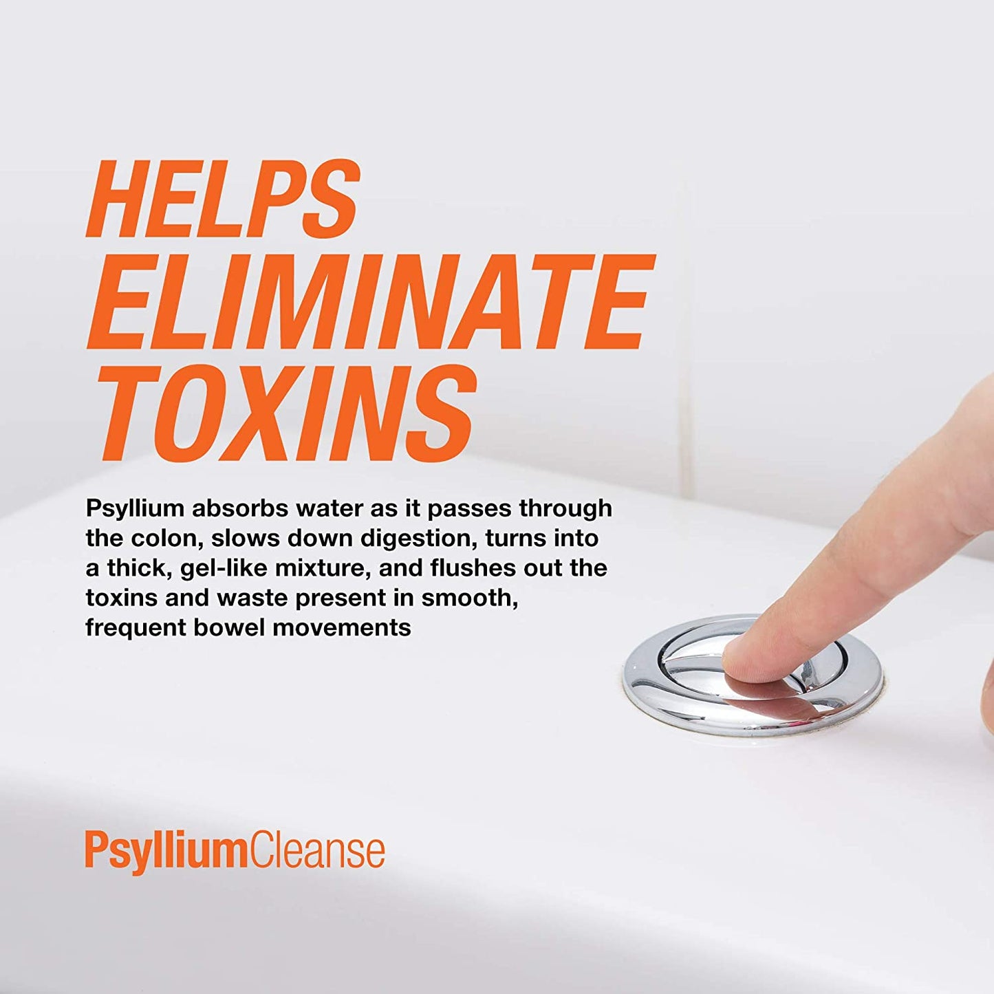 Psyllium Cleanse - Prebiotic Detox Formula