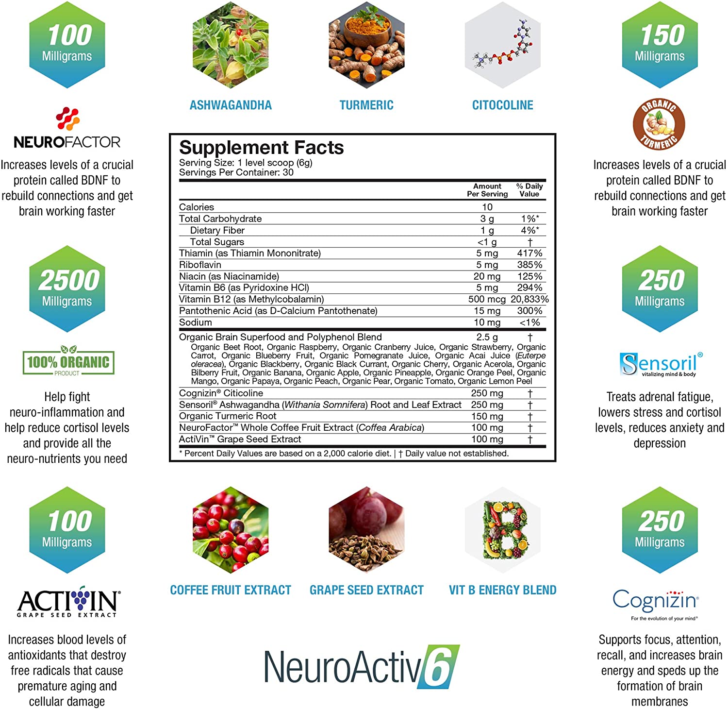 NeuroActiv6