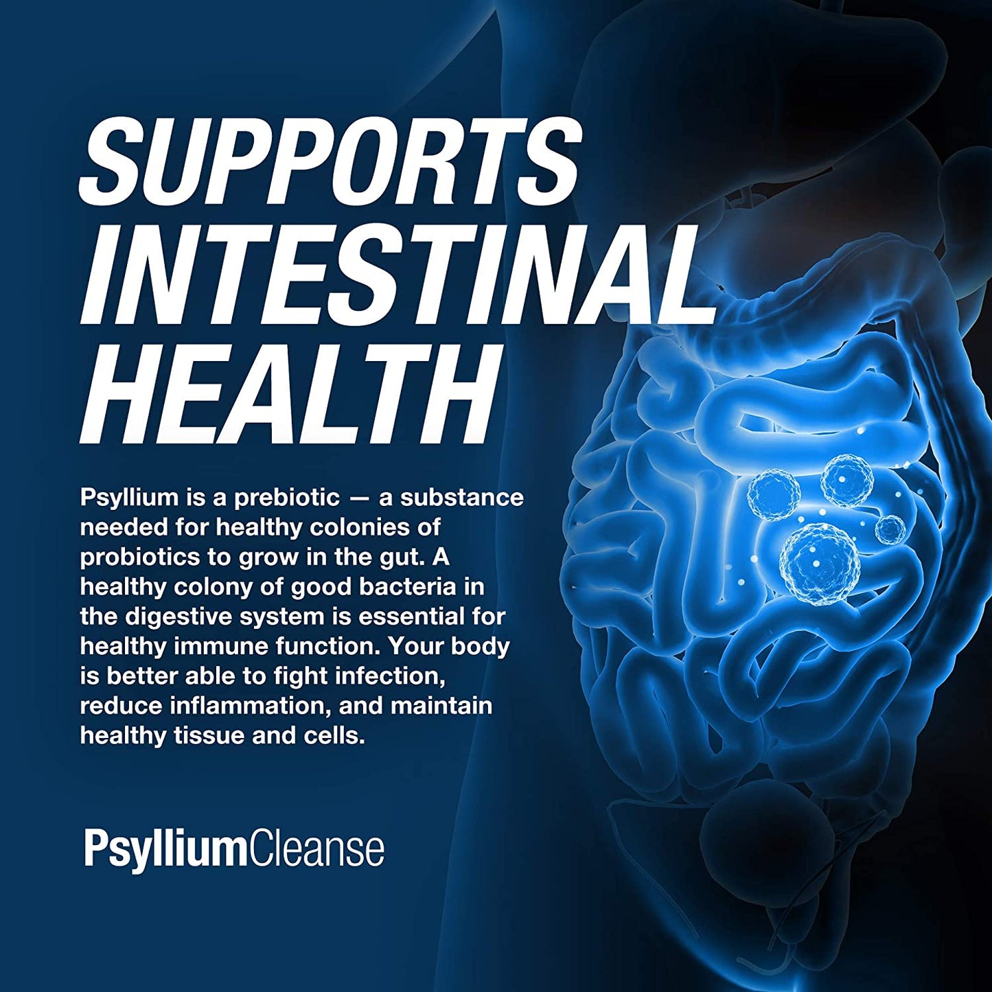 Psyllium Cleanse - Prebiotic Detox Formula
