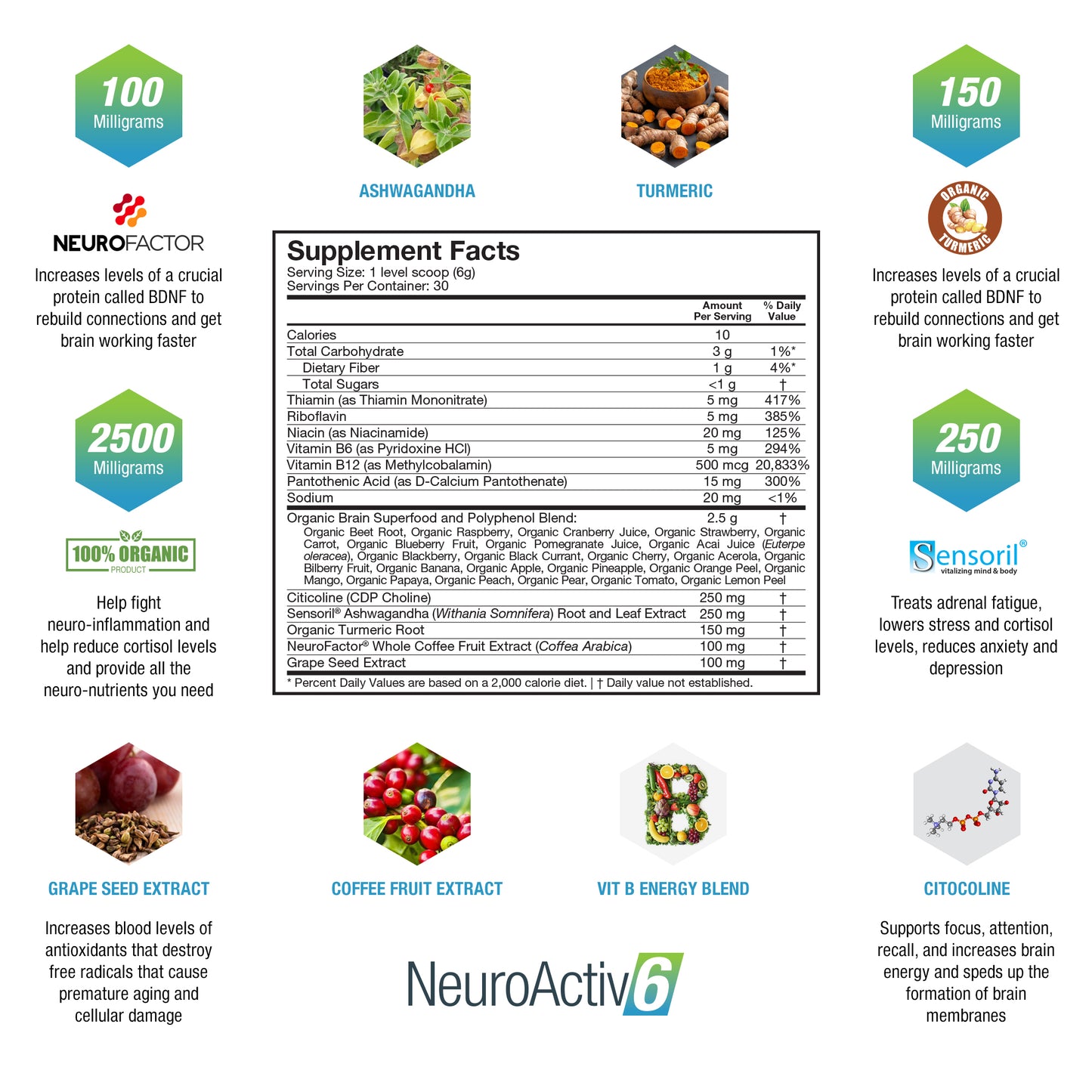 NeuroActiv6 - Brain Superfood Formula