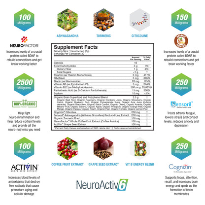 NeuroActiv6 - 3 Pack
