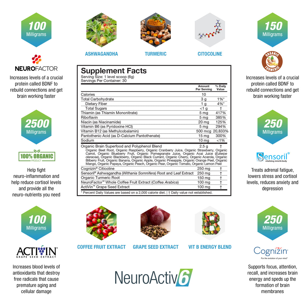 NeuroActiv6 - Brain Support Supplement – NaturalCell