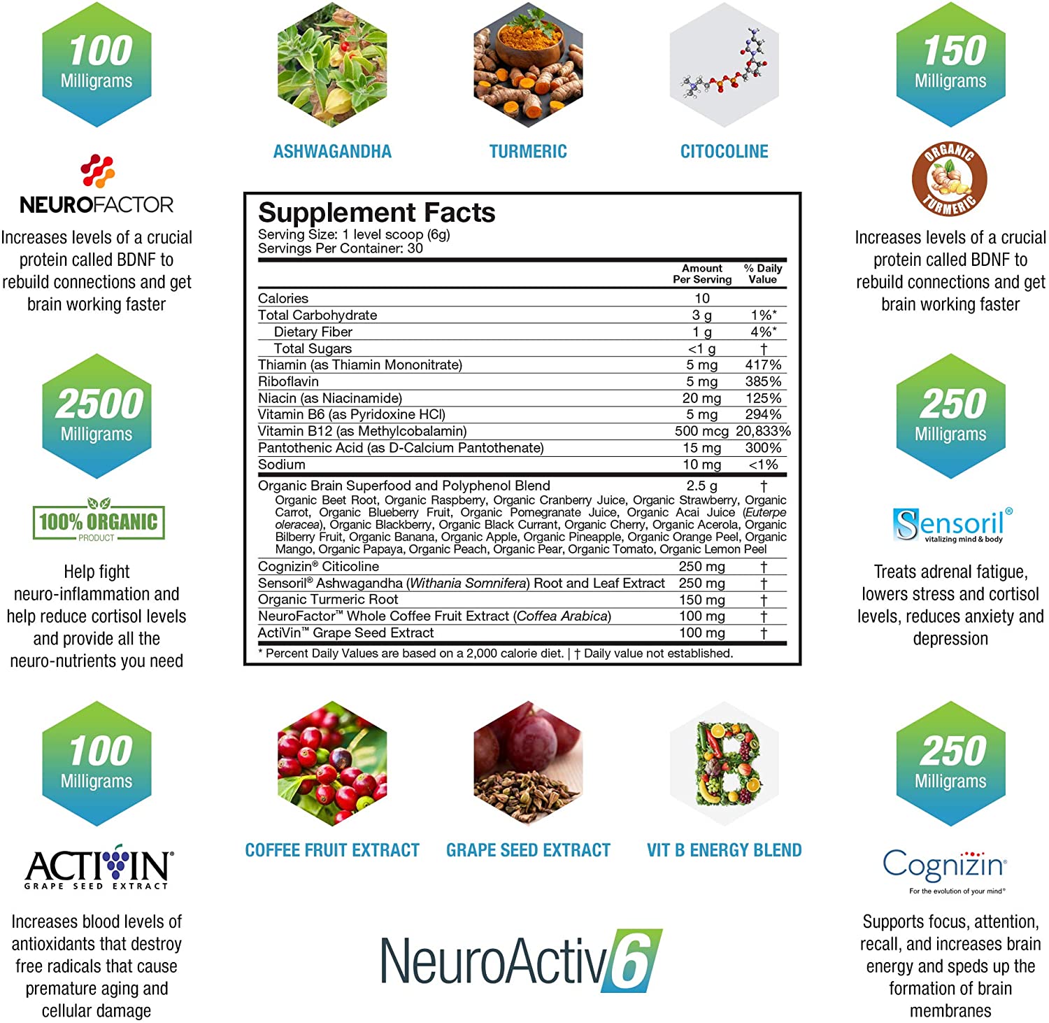 NeuroActiv6 - Brain Superfood Formula
