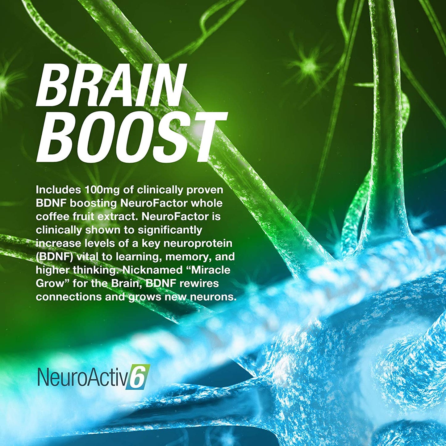 NeuroActiv6 - Brain Superfood Formula