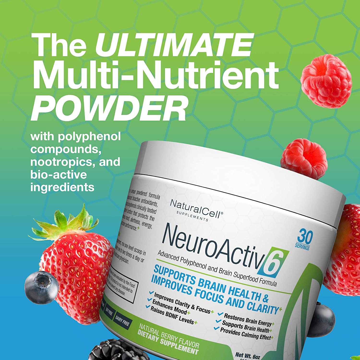 NeuroActiv6 - Brain Superfood Formula